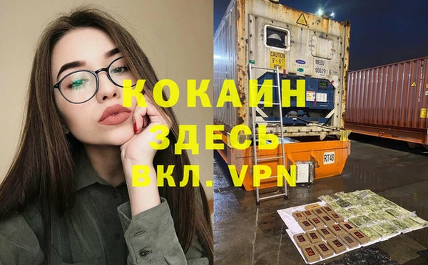ALPHA PVP Богородицк