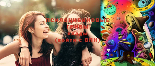 мяу мяу кристалл Богданович