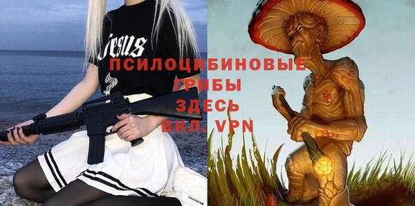 мяу мяу кристалл Богданович