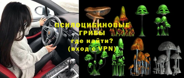 бошки Богородск