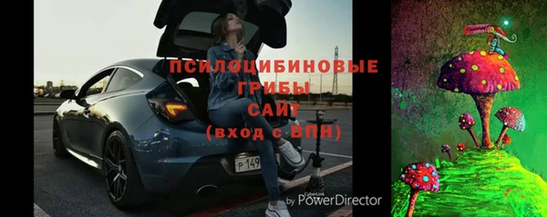 ALPHA PVP Богородицк